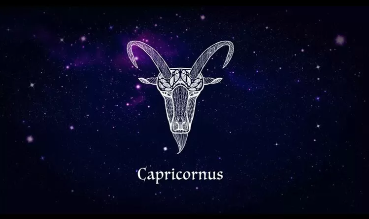 Lahir antara 22 Desember hingga 19 Januari, pemilik zodiak Capricorn memiliki lambang kambing laut dan elemen tanah. Karakter Capricorn dikenal sebagai sosok yang realistis dan berpikir kritis.